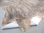 Шкура коровы натуральная экзотическая светлая арт.: 31385 - T69d3b1b93b4c9045971798