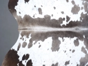 Натуральная шкура коровы пятнистая арт.: 31278 - T690e06313e915057829374