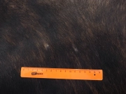 Шкура коровы натуральная тигровая арт.: 31423 - T69f1f54b2159b134855356