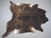 Шкура коровы натуральная тигровая арт.: 31423 - T69f1f528cf44f070282064