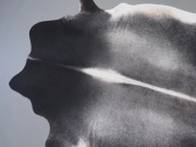 Шкура коровы натуральная темно-серая арт.: 31333 - T698085921c33e956802911