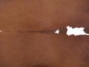 Натуральная шкура коровы коричнево-белая Герефорд арт.: 31336 - T69808d64b165d186149342