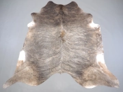 Шкура коровы натуральная экзотическая светлая арт.: 31385 - T69d3b1b9bd0c1585125151