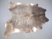 Шкура коровы натуральная экзотическая светлая арт.: 31385 - T69d3b1b3448c4710264313