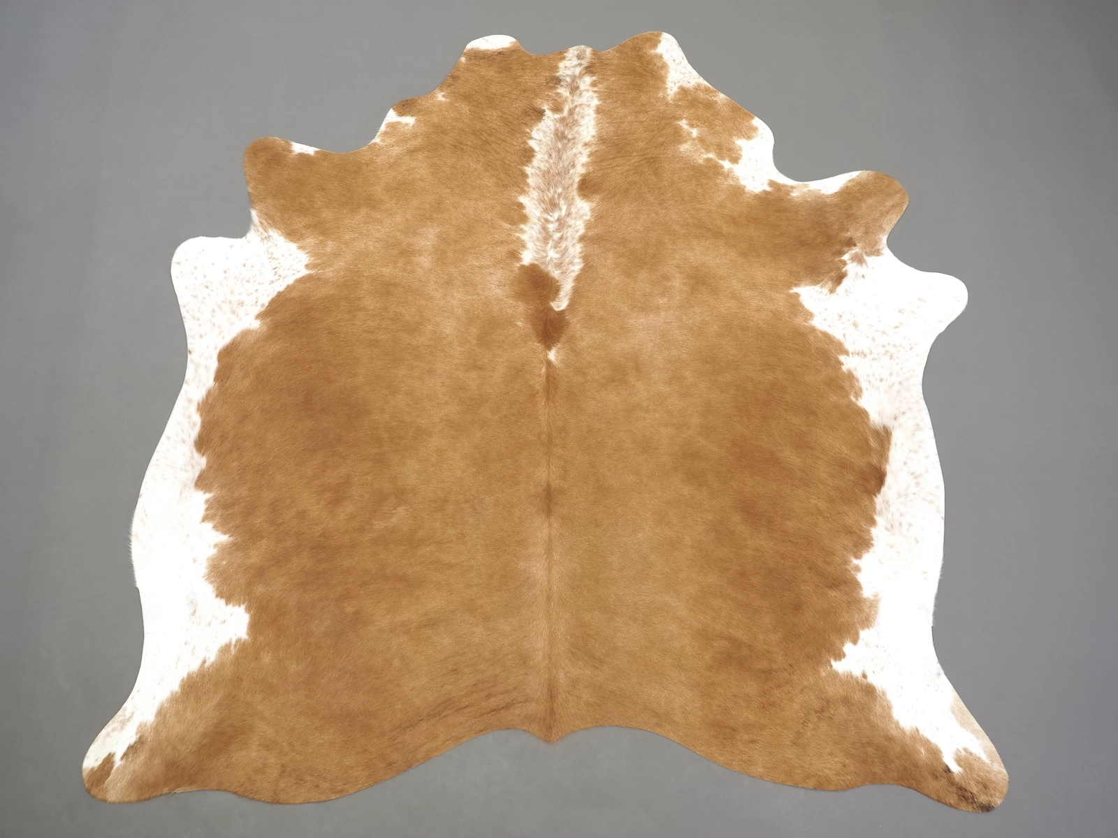 Натуральная шкура коровы коричнево-белая 31308 — купить | Cowhide