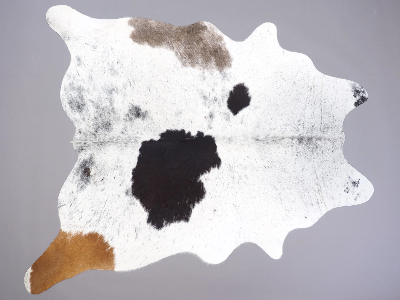 Ковер шкура коровы натуральная на пол 30111 — купить по выгодной цене в интернет-магазине Cowhide