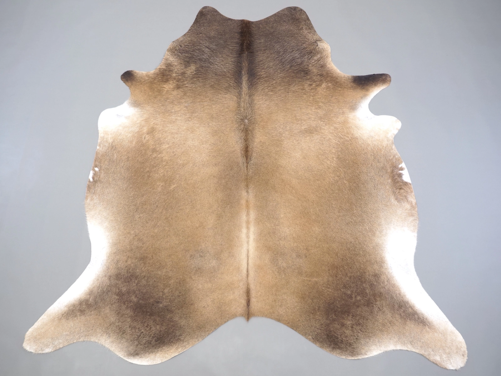 Коровья шкура маленького размера серая 31377 — Cowhide