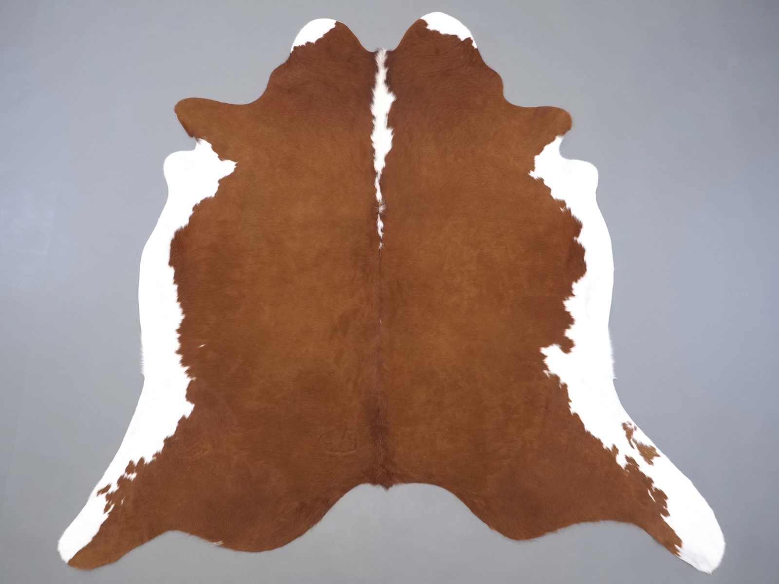 Натуральная шкура коровы коричнево-белая 31346 — купить | Cowhide
