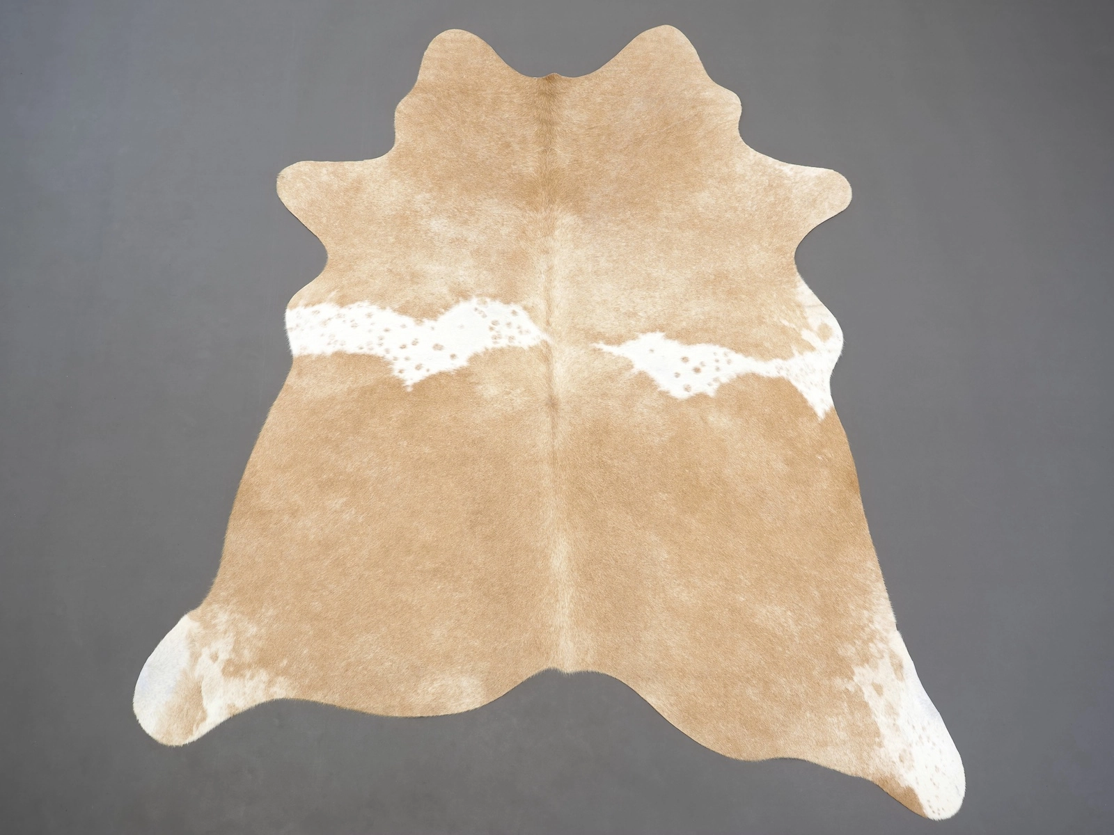 Натуральная шкура коровы бежево-белая на пол 29386 — купить | Cowhide