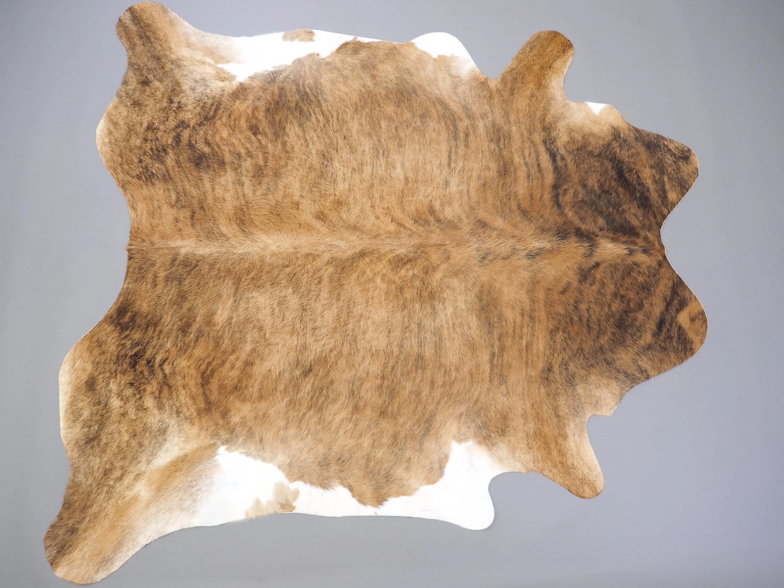 Натуральная коровья шкура тигровая 24694 на пол — купить по выгодной цене в интернет-магазине Cowhide