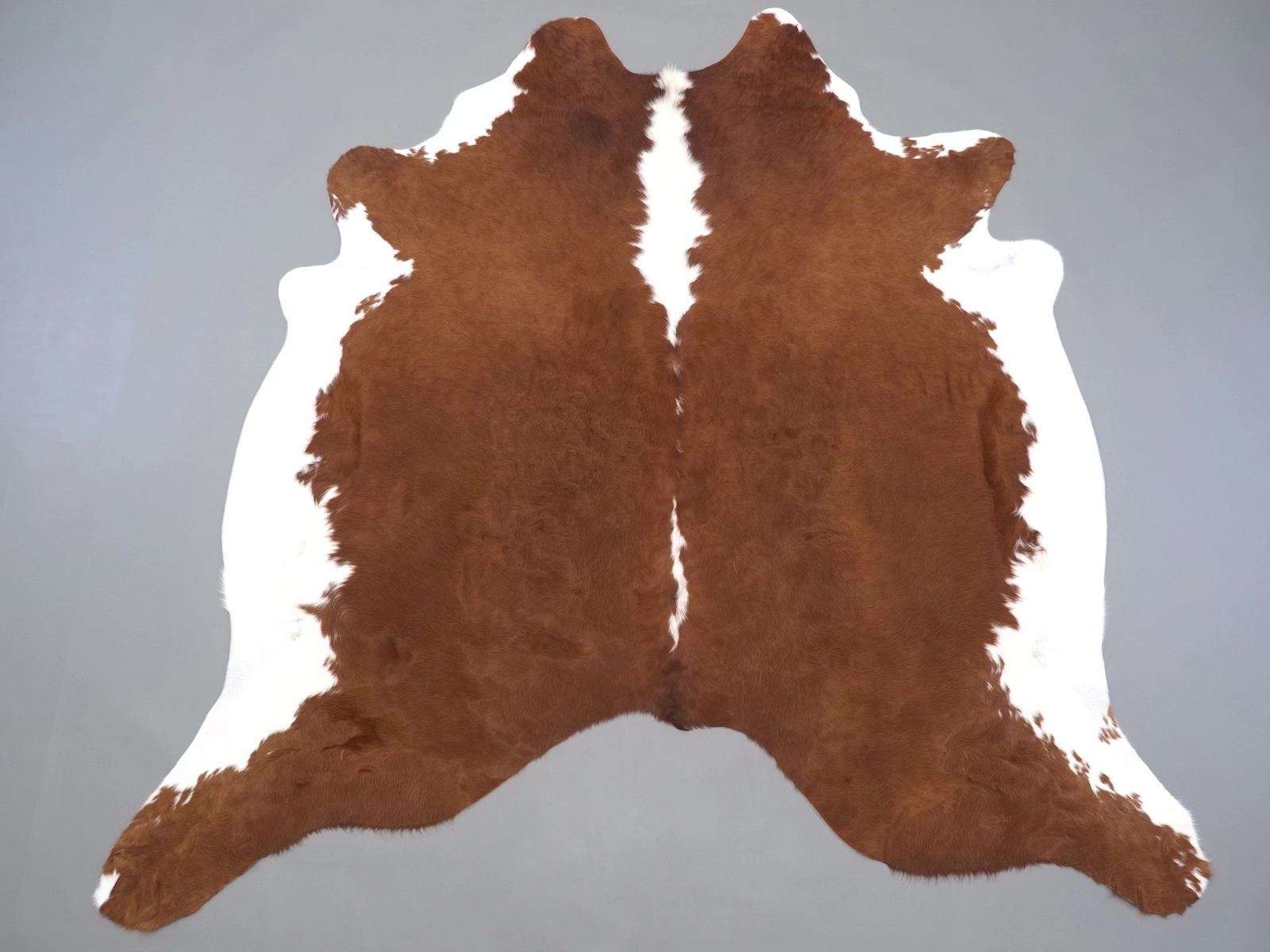 Натуральная шкура коровы коричнево-белая 31347 — купить | Cowhide