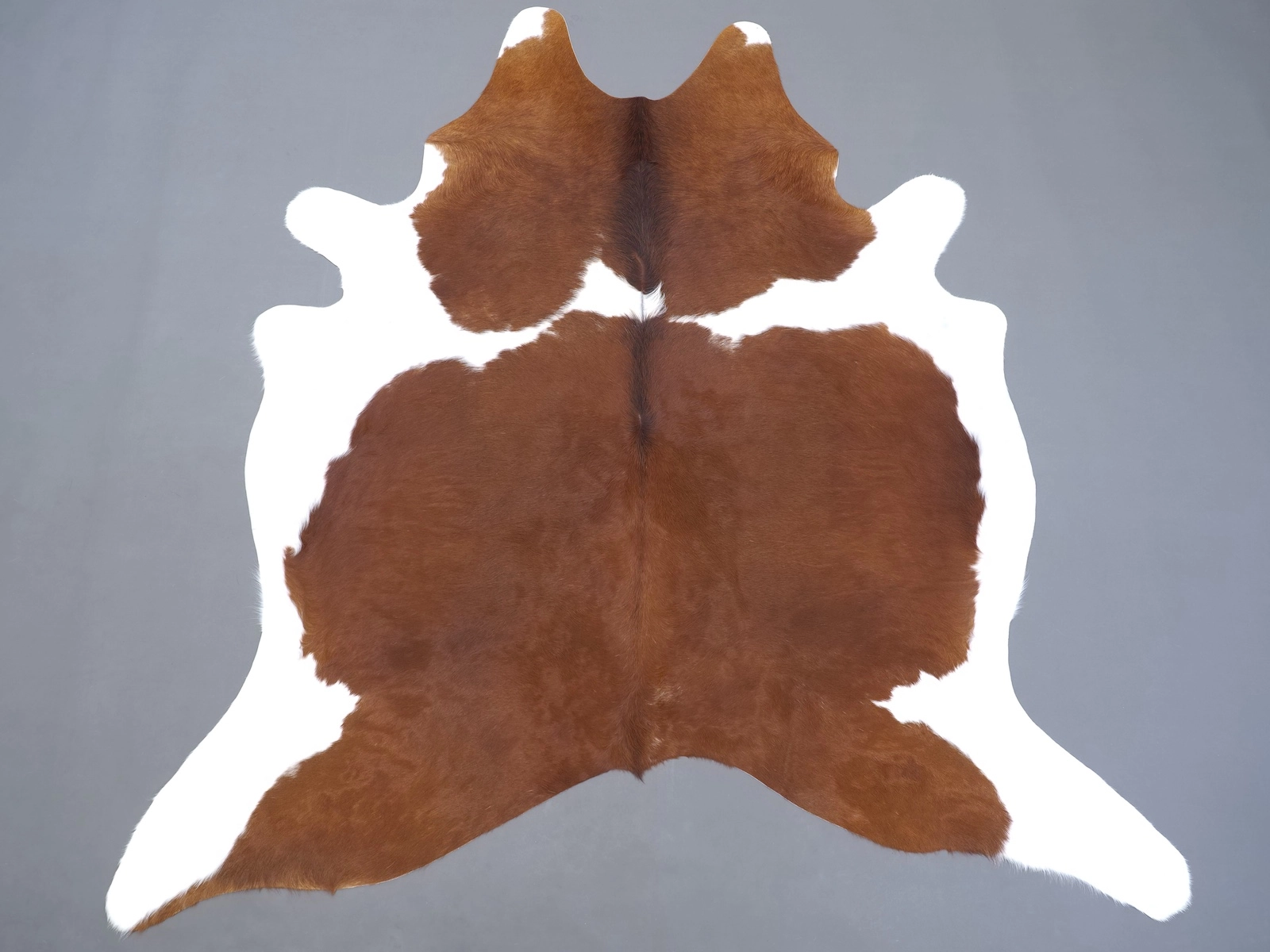 Натуральная шкура коровы коричнево-белая 31281 — купить | Cowhide