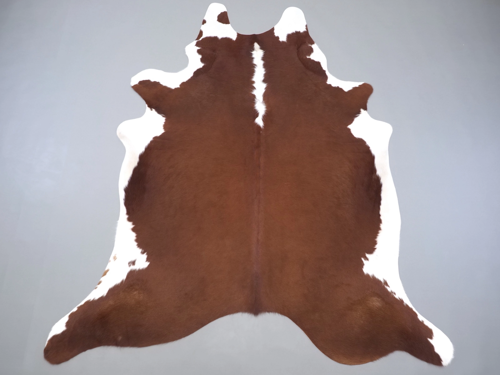 Натуральная шкура коровы коричнево-белая 31339 — купить | Cowhide