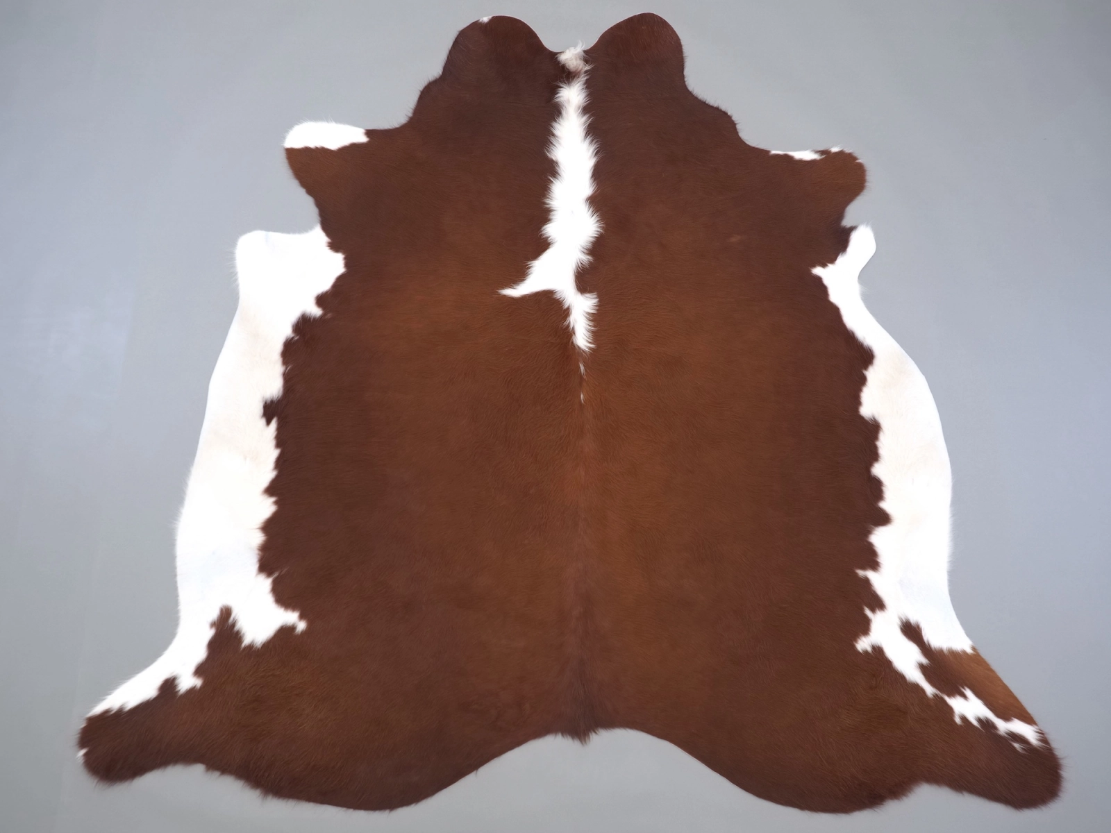 Натуральная шкура коровы коричнево-белая 31342 — купить | Cowhide