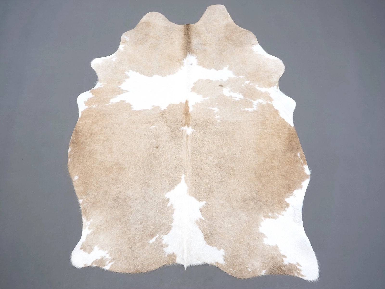 Шкура коровы натуральная бежевая 31290 купить в интернет-магазине Cowhide