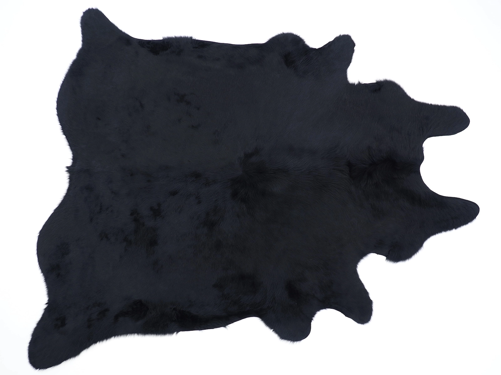 Коровья шкура ковер окрашена в насыщенно черный 30056 — купить по выгодной цене в интернет-магазине Cowhide