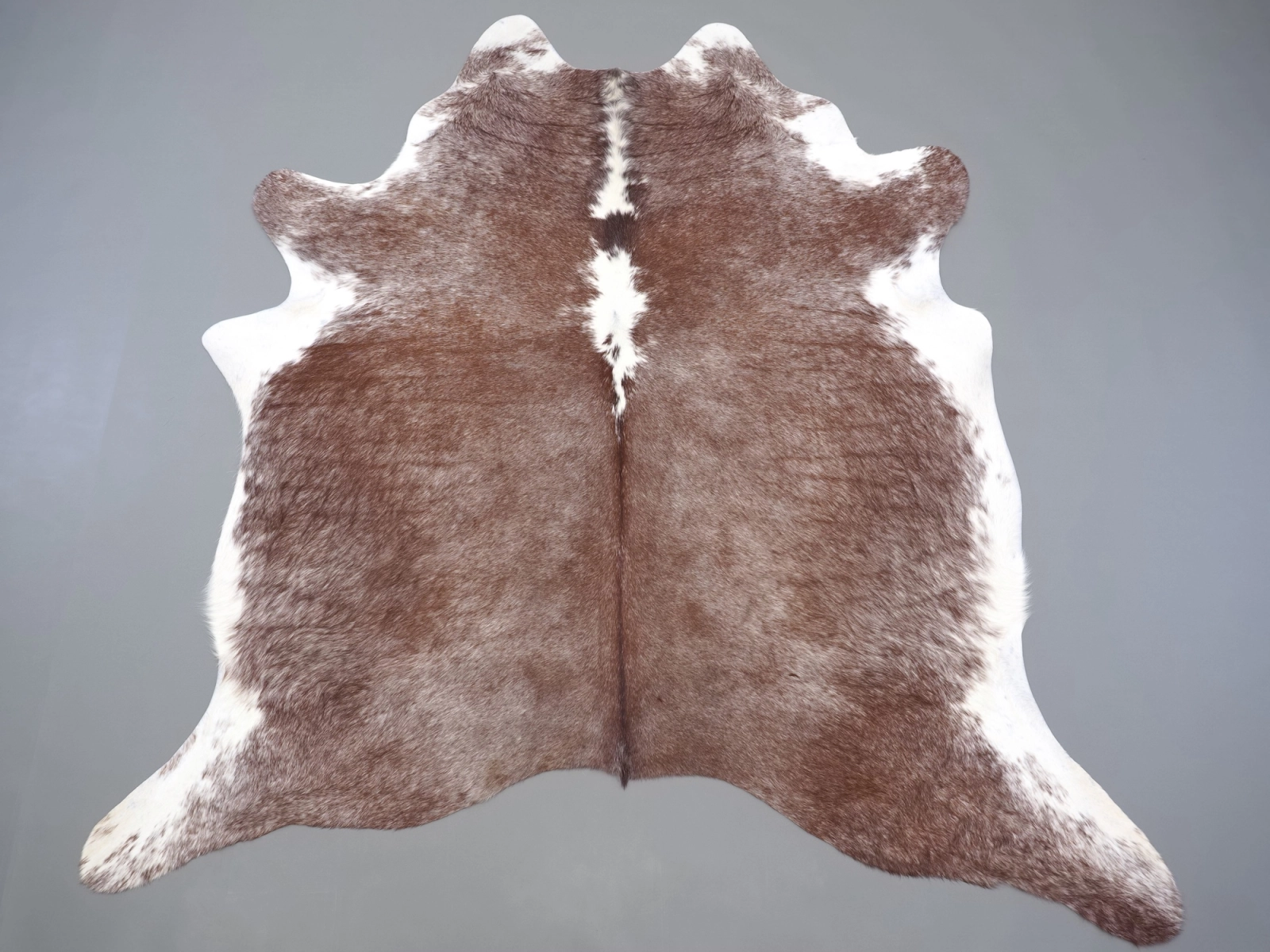 Натуральная шкура коровы коричнево-белая 31357 — купить | Cowhide