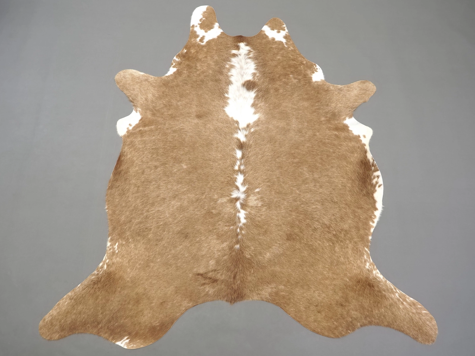 Натуральная коровья шкура – ковер 31306 купить по выгодной цене в интернет-магазине Cowhide