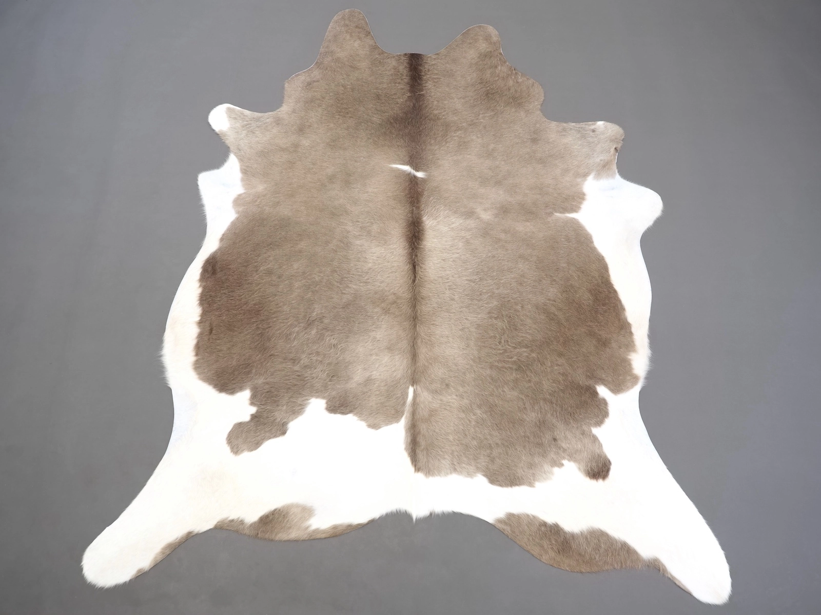 Коровья шкура натуральная коричневый мокко арт.: 31309 на пол — купить по выгодной цене в интернет-магазине Cowhide