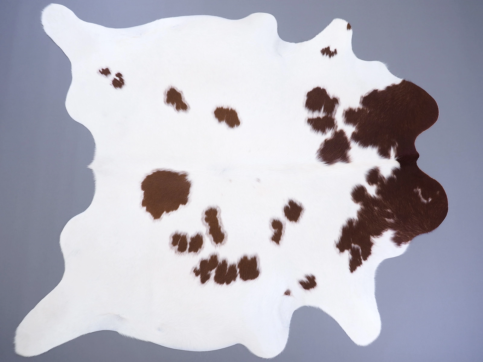Натуральная шкура коровы коричнево-белая 29398 — купить по выгодной цене в интернет-магазине Cowhide