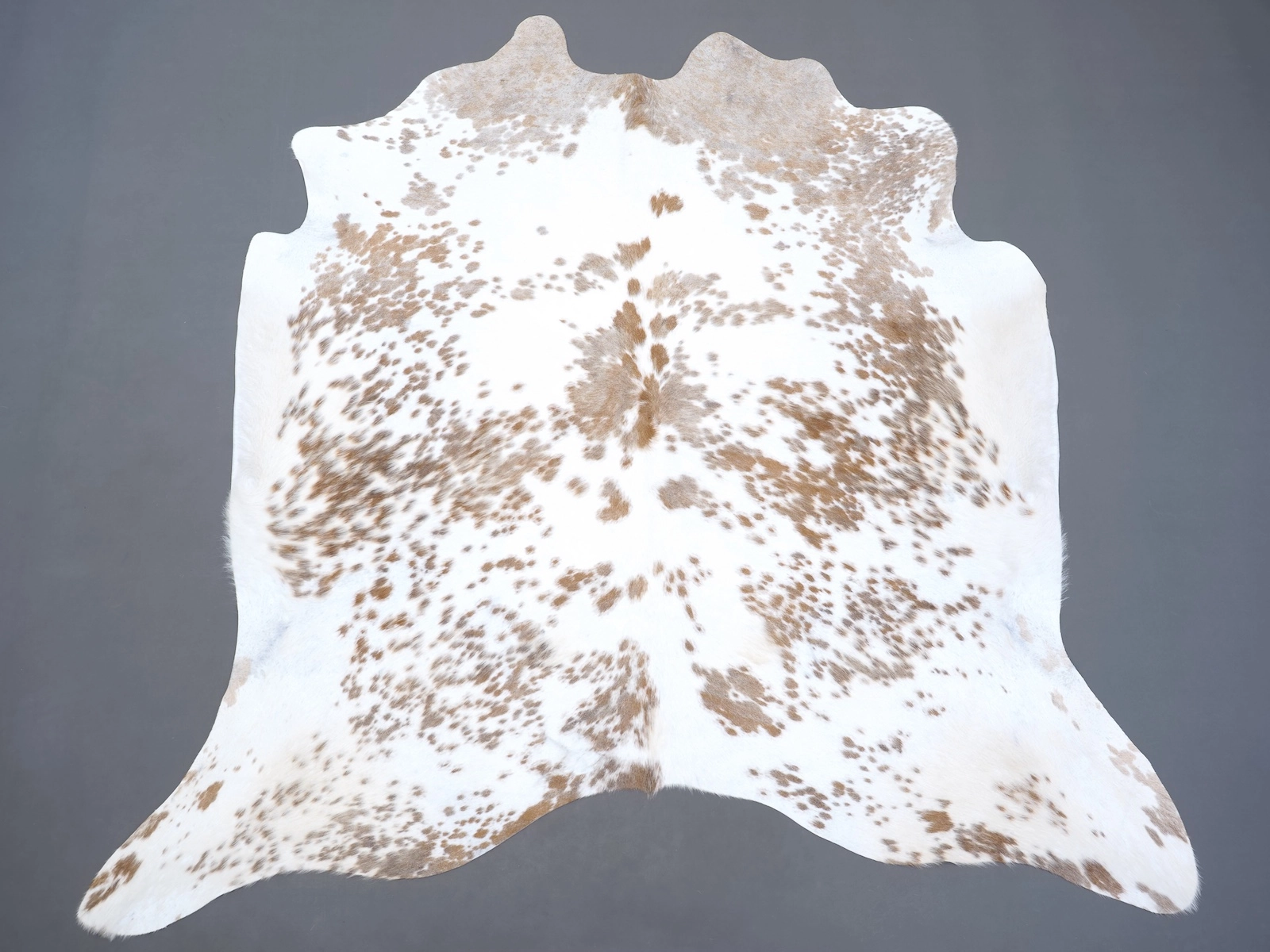 Натуральная шкура коровы коричнево-белая 31289 — купить | Cowhide
