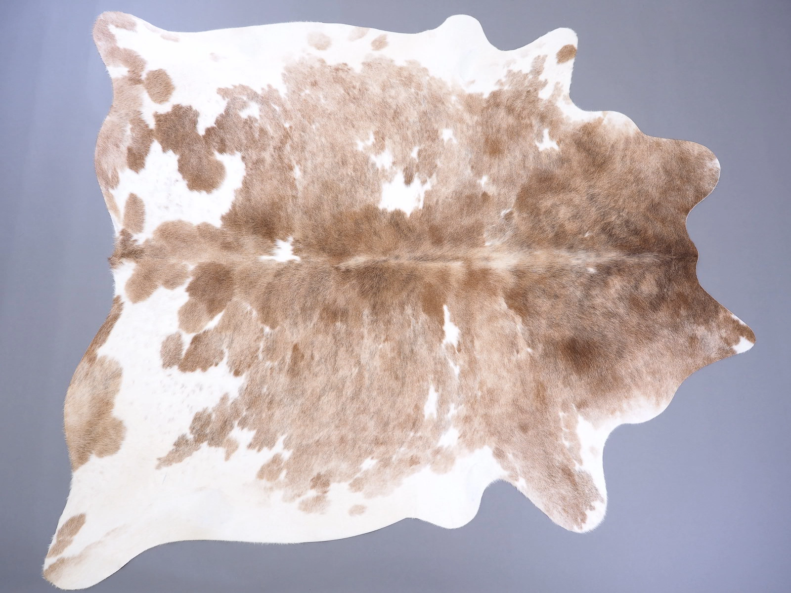 Ковер коровья шкура натуральная бежево-белая на пол 29477 — купить по выгодной цене в интернет-магазине Cowhide