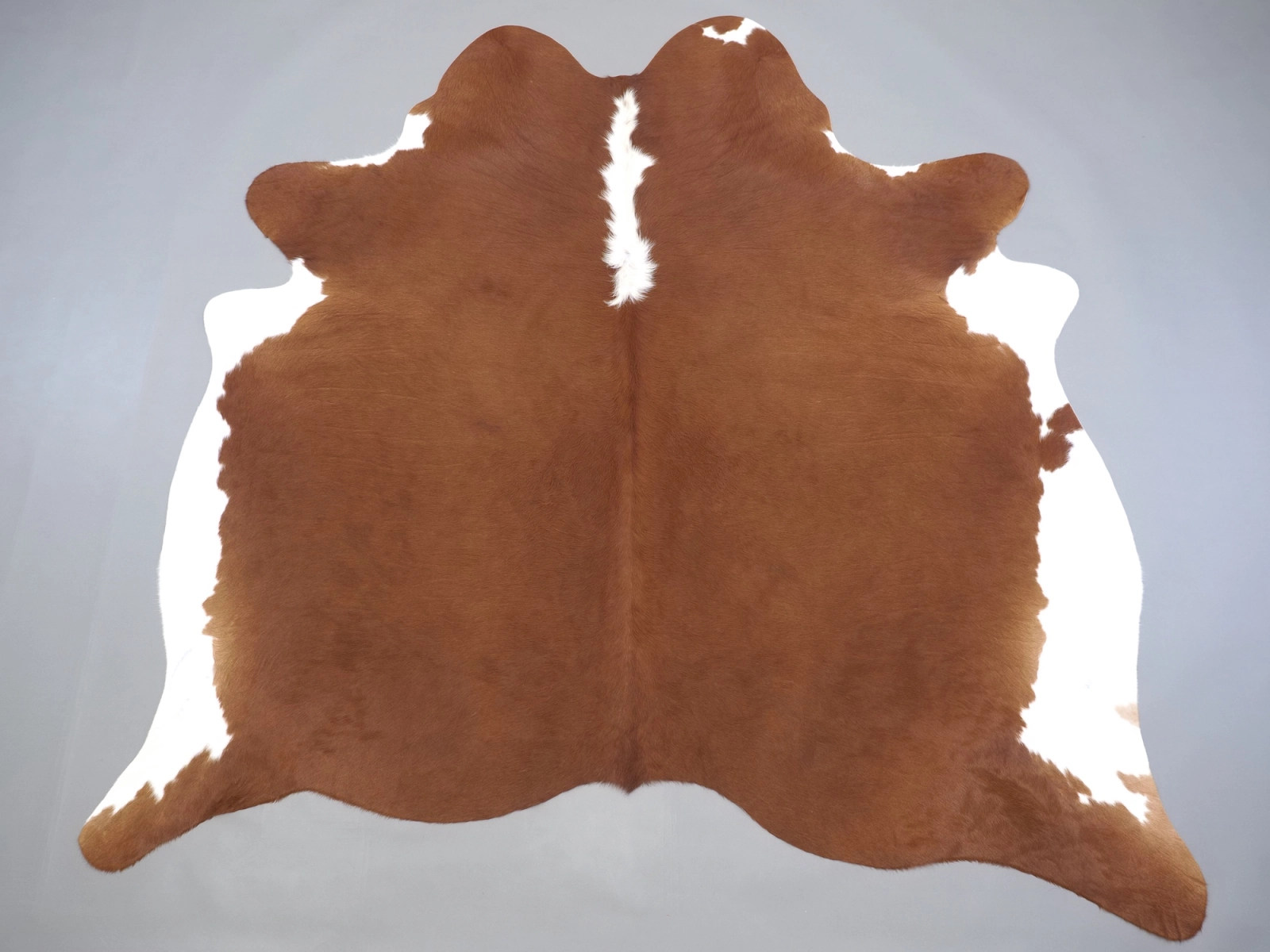 Натуральная шкура коровы коричнево-белая 31408 — купить | Cowhide