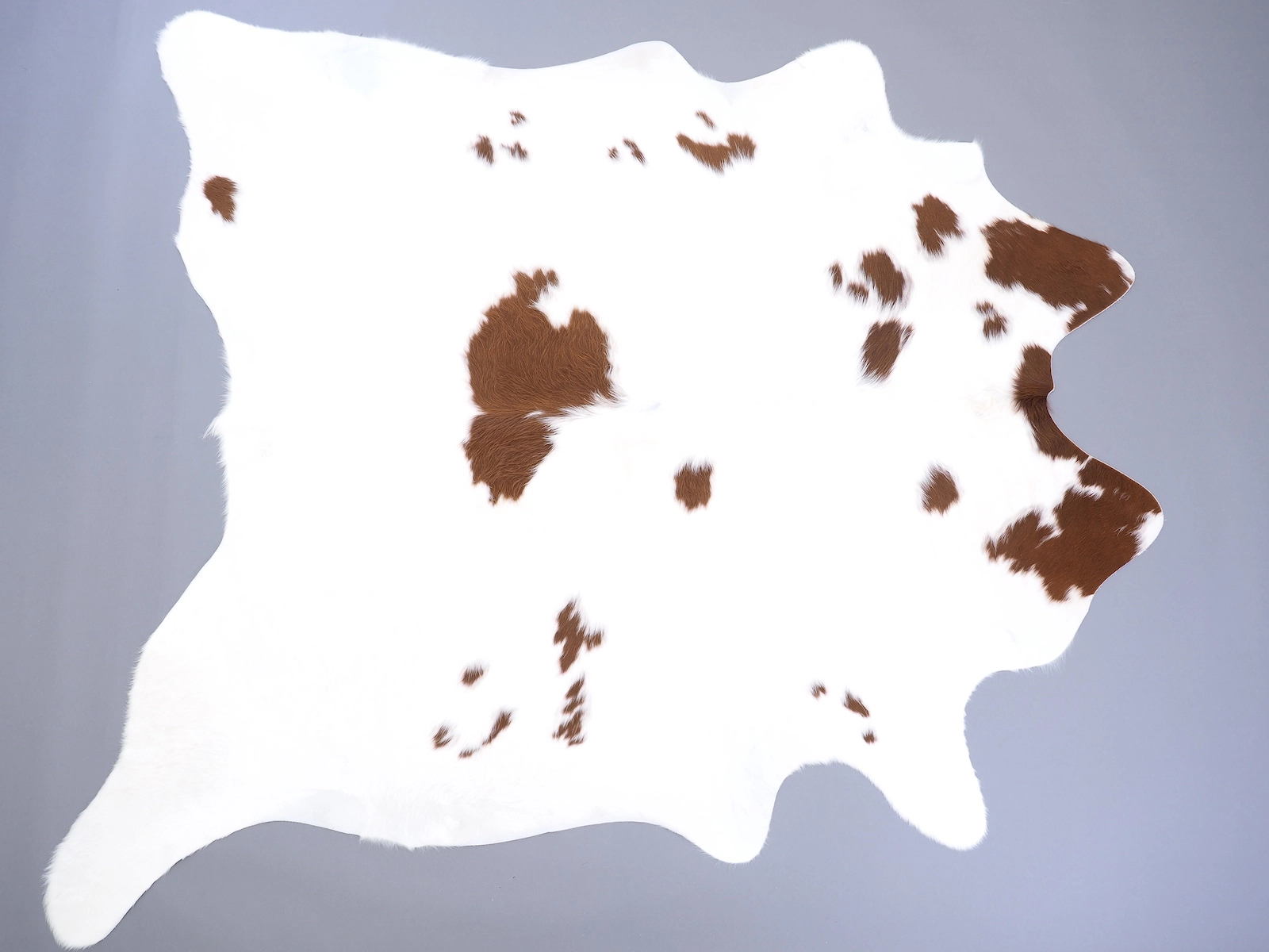 Натуральная коровья шкура коричнево-белая 29400 — купить по выгодной цене в интернет-магазине Cowhide