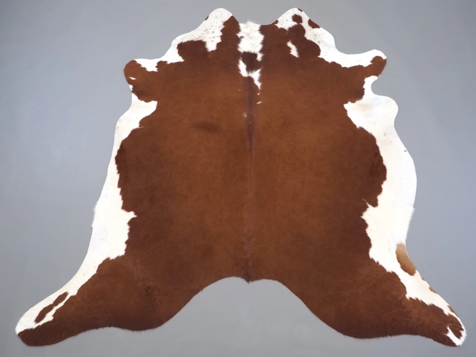 Натуральная шкура коровы коричнево-белая 31329 — купить | Cowhide