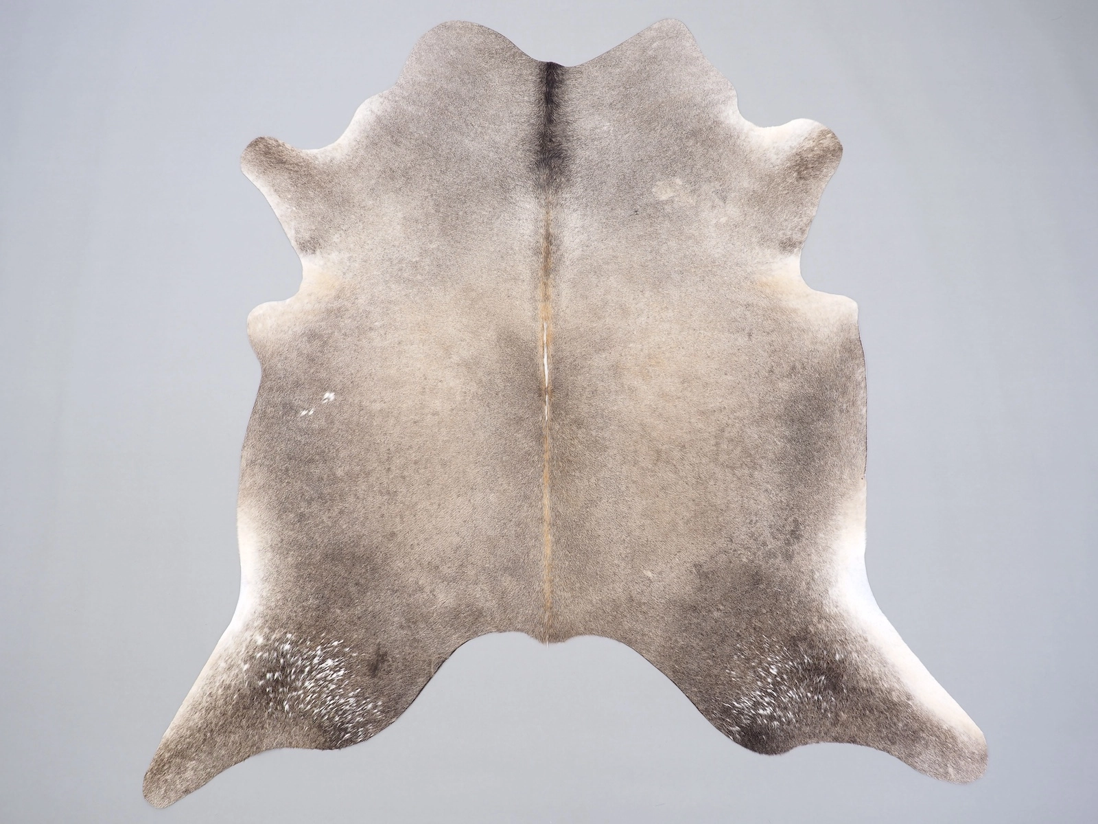 Коровья шкура натуральная 31222 — купить | Cowhide