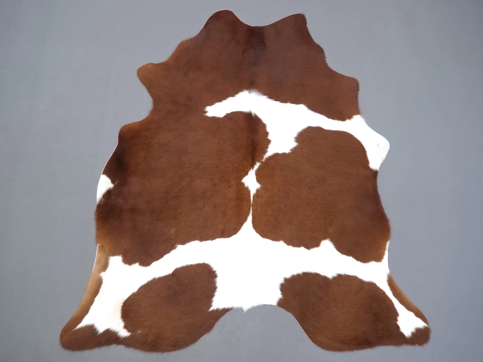 Натуральная шкура коровы коричнево-белая 31280 — купить | Cowhide