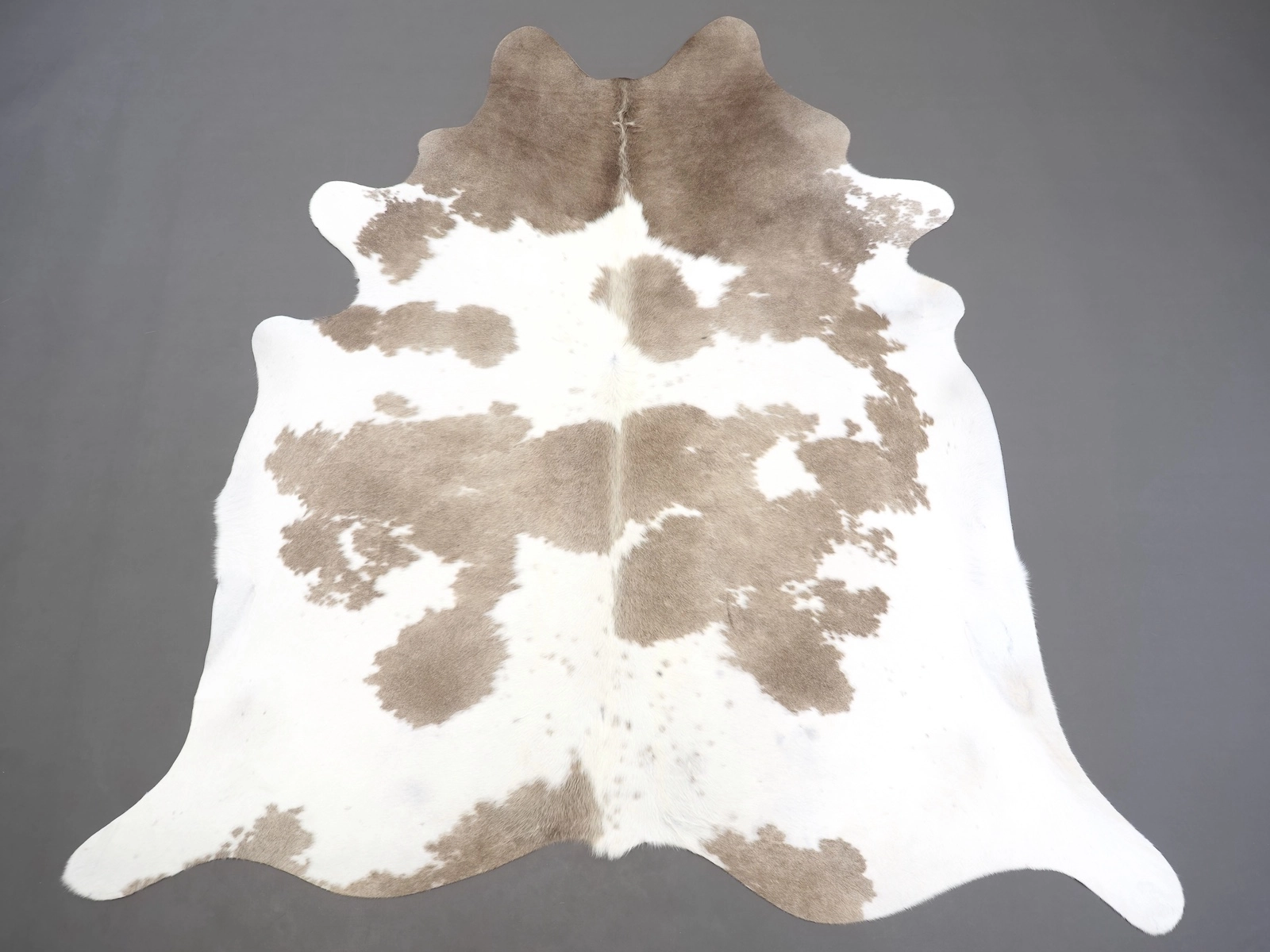 Коровья шкура натуральная коричневый мокко арт.: 31314 на пол — купить по выгодной цене в интернет-магазине Cowhide