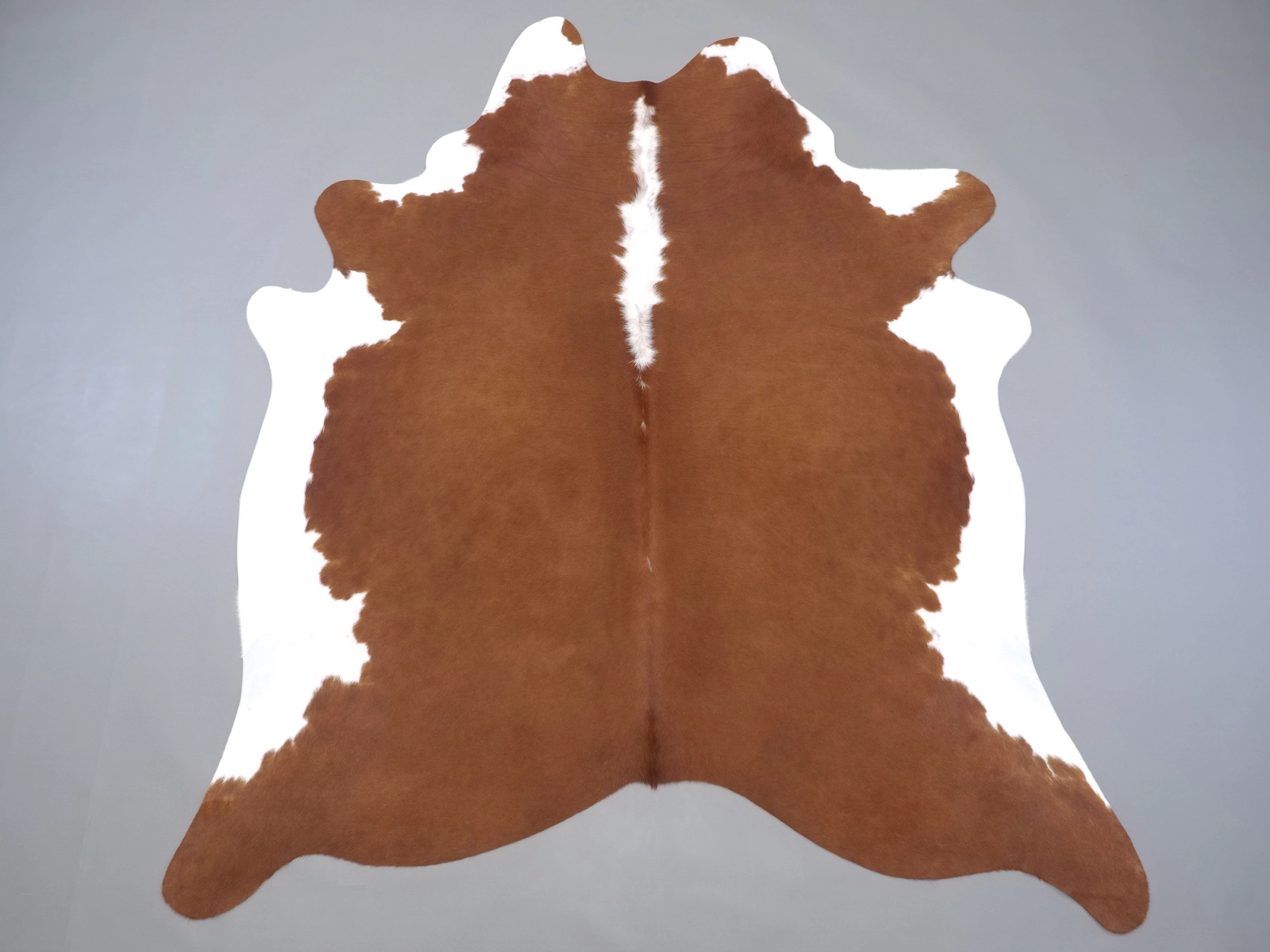 Натуральная шкура коровы коричнево-белая 31348 — купить | Cowhide