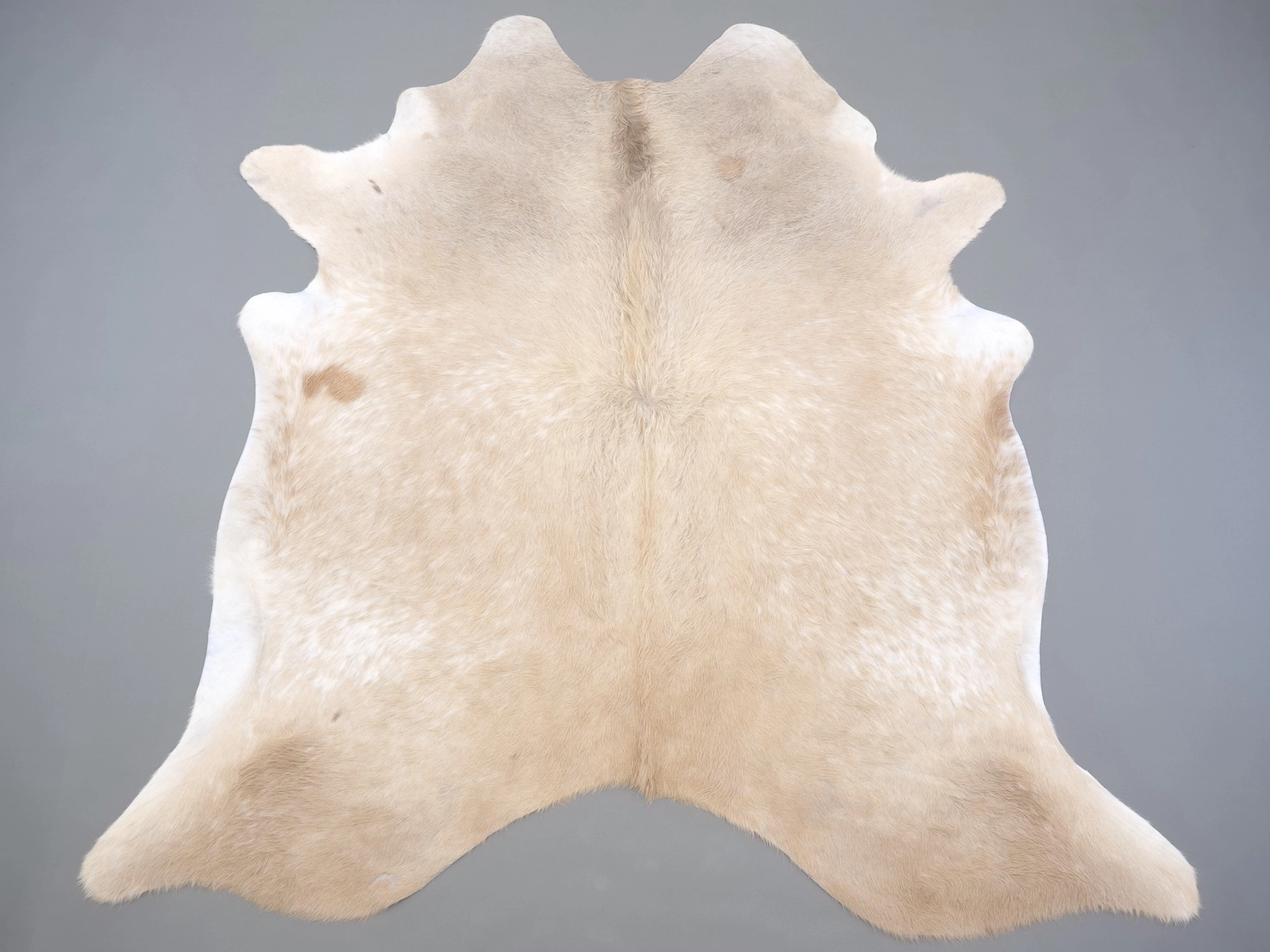 Шкура коровы натуральная бежево-белая 31319 купить в интернет-магазине Cowhide