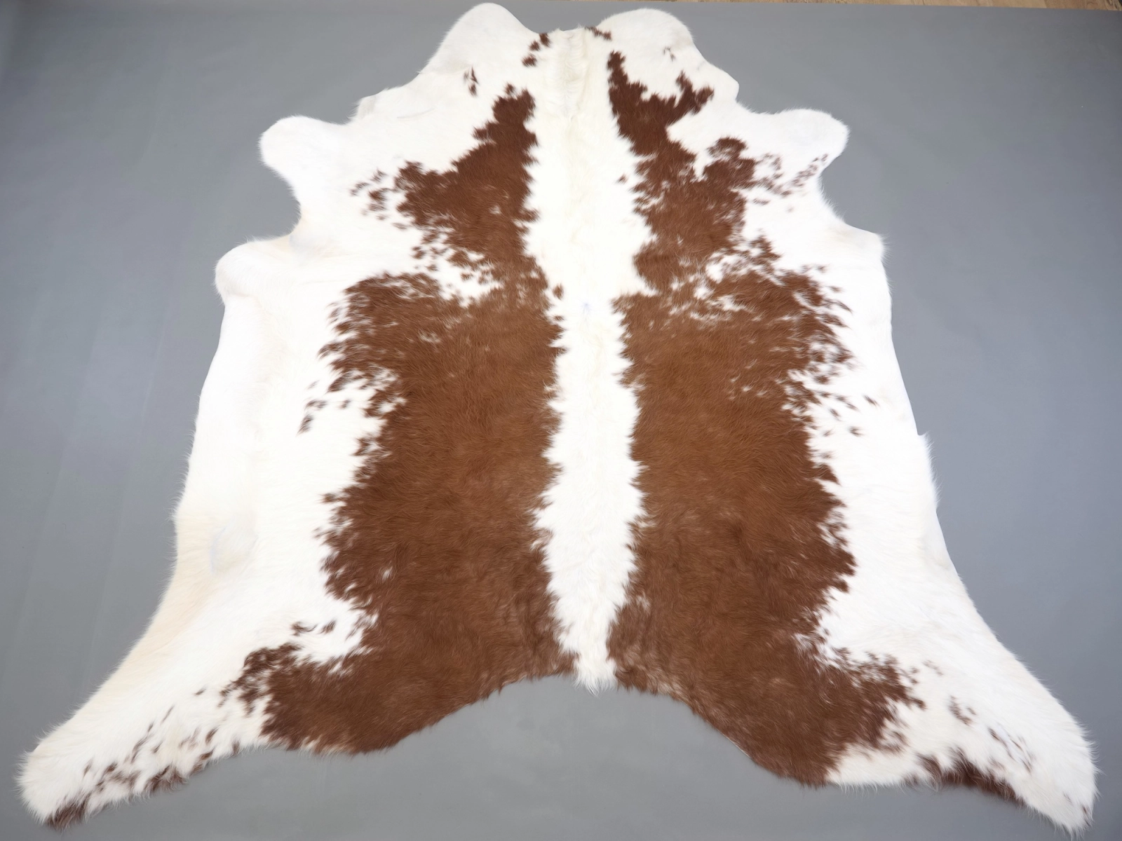 Натуральная шкура коровы коричнево-белая 31427 — купить | Cowhide
