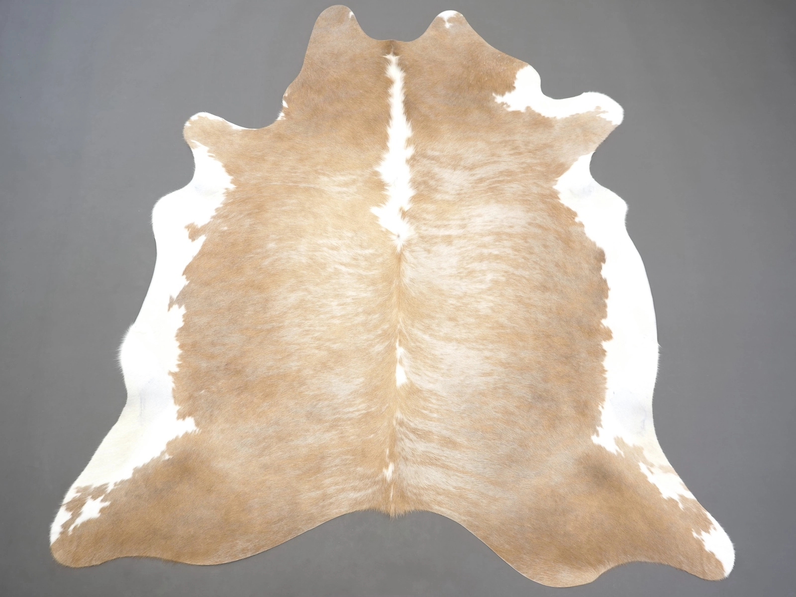 Шкура коровы натуральная бежево-белая 31307 купить в интернет-магазине Cowhide