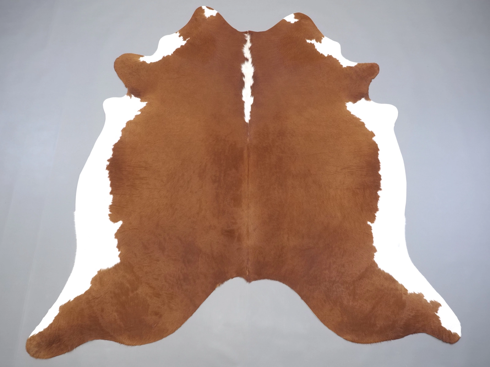 Натуральная шкура коровы коричнево-белая 31436 — купить | Cowhide
