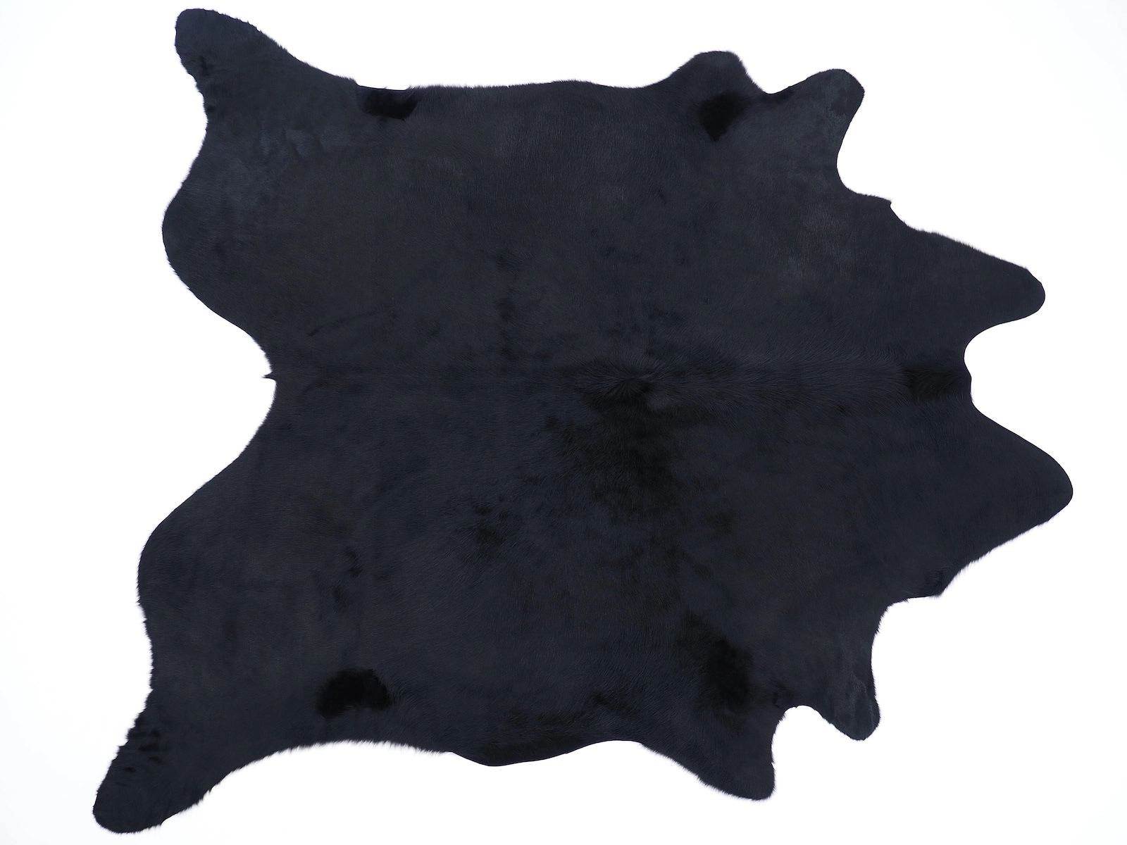 Шкура коровы окрашена в насыщенно черный 30060 — купить в интернет-магазине Cowhide