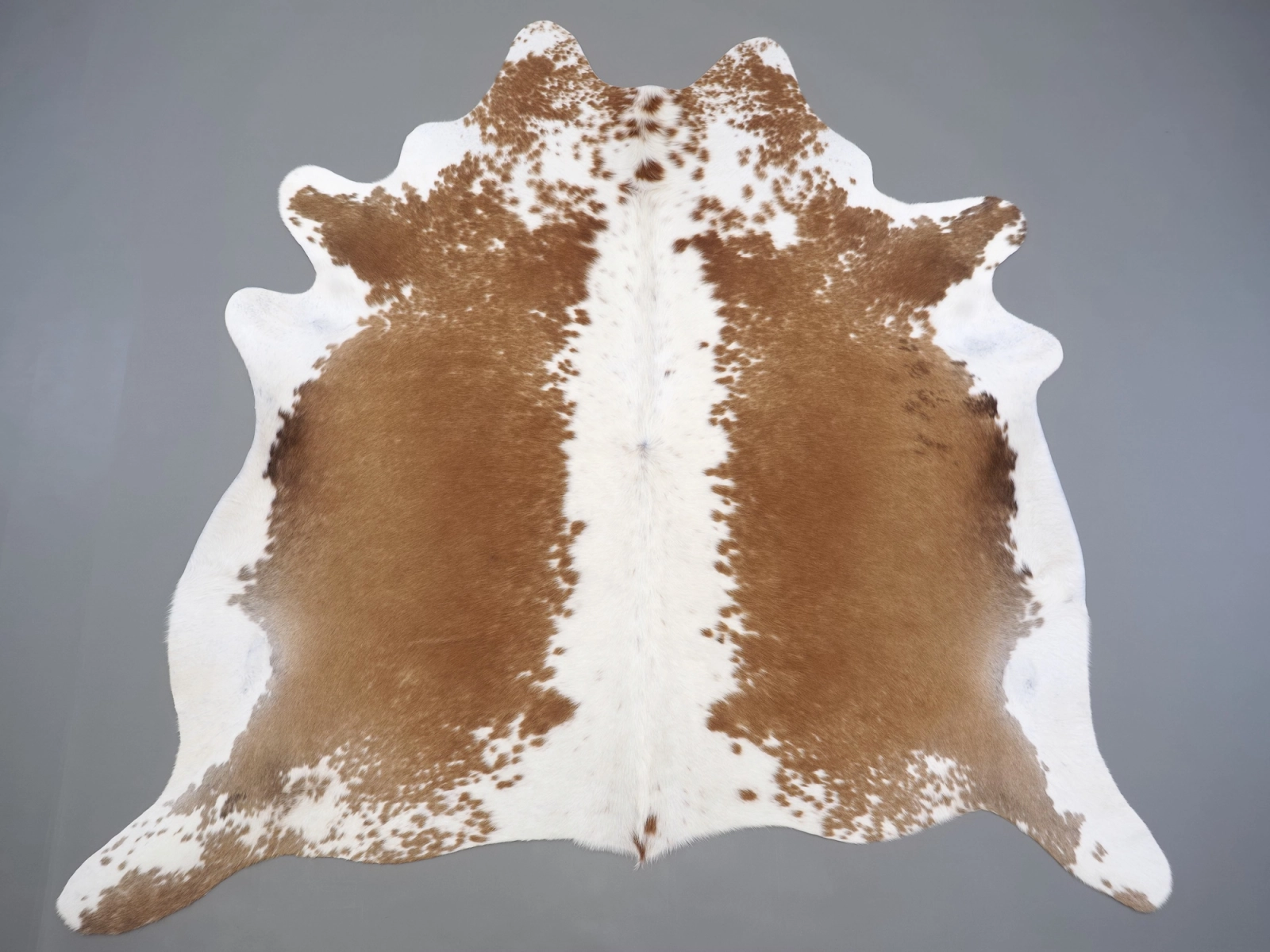 Натуральная шкура коровы коричнево-белая 31367 — купить | Cowhide