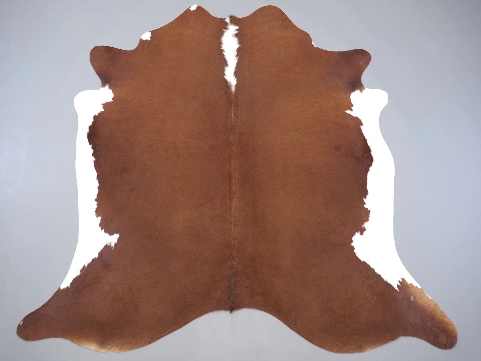Натуральная шкура коровы коричнево-белая 31345 — купить | Cowhide