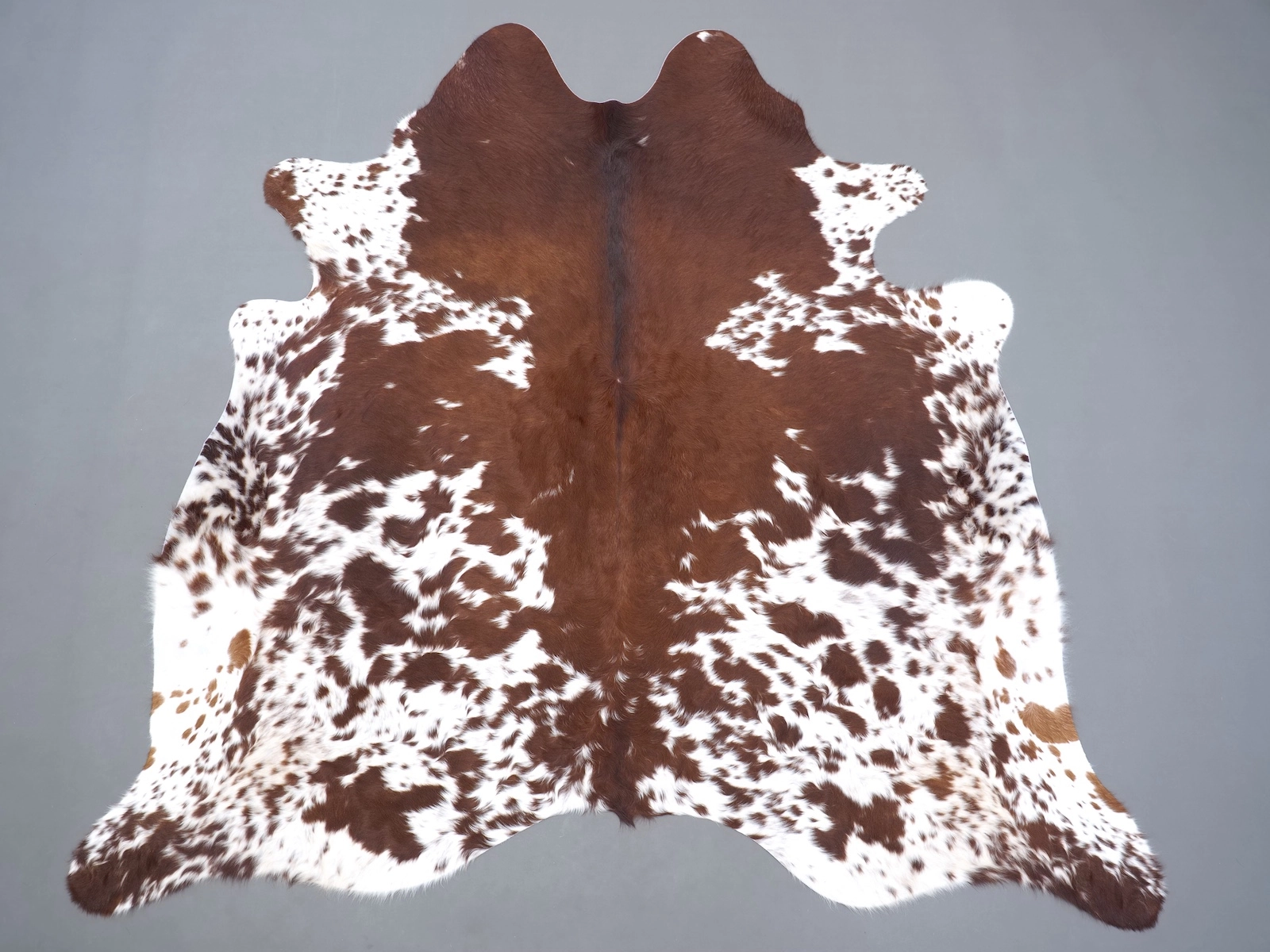 Натуральная шкура коровы коричнево-белая 31285 — купить | Cowhide