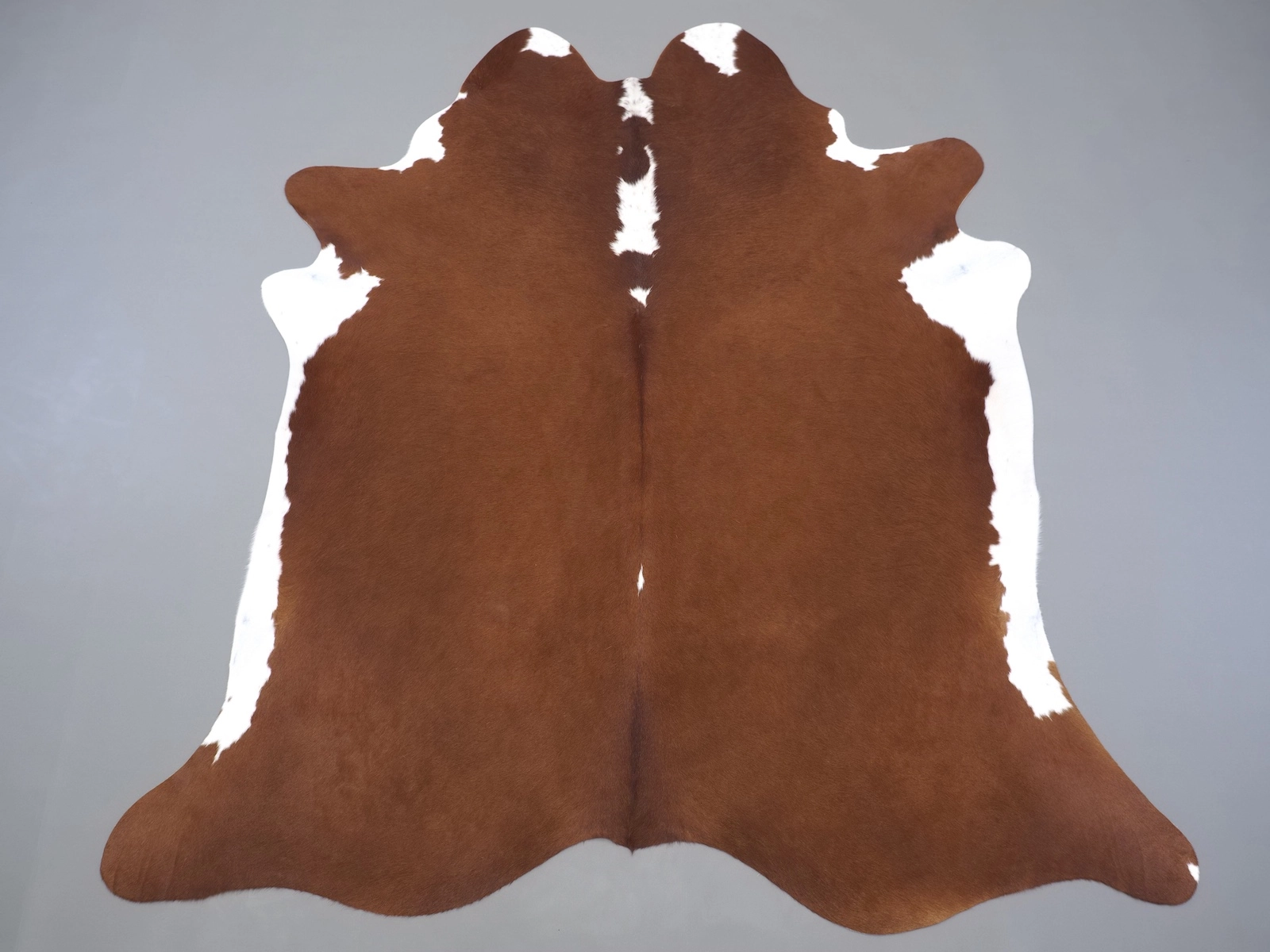 Натуральная шкура коровы коричнево-белая 31336 — купить | Cowhide