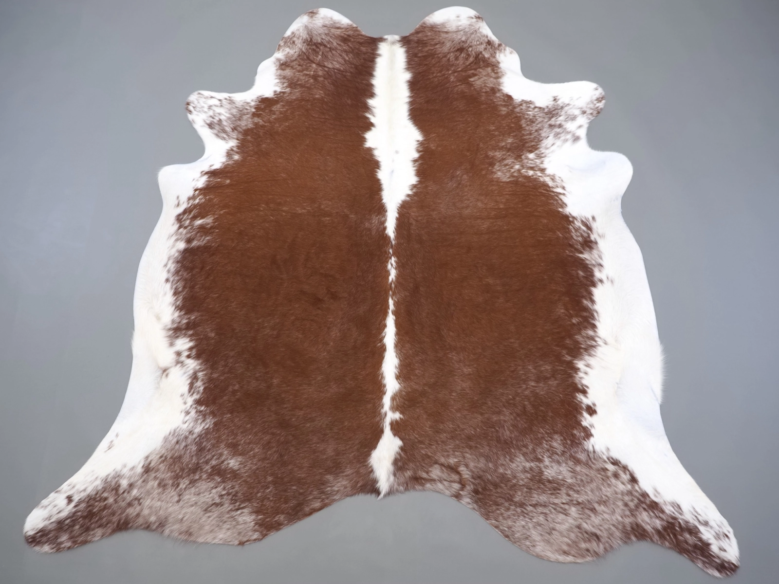 Натуральная шкура коровы коричнево-белая 31338 — купить | Cowhide