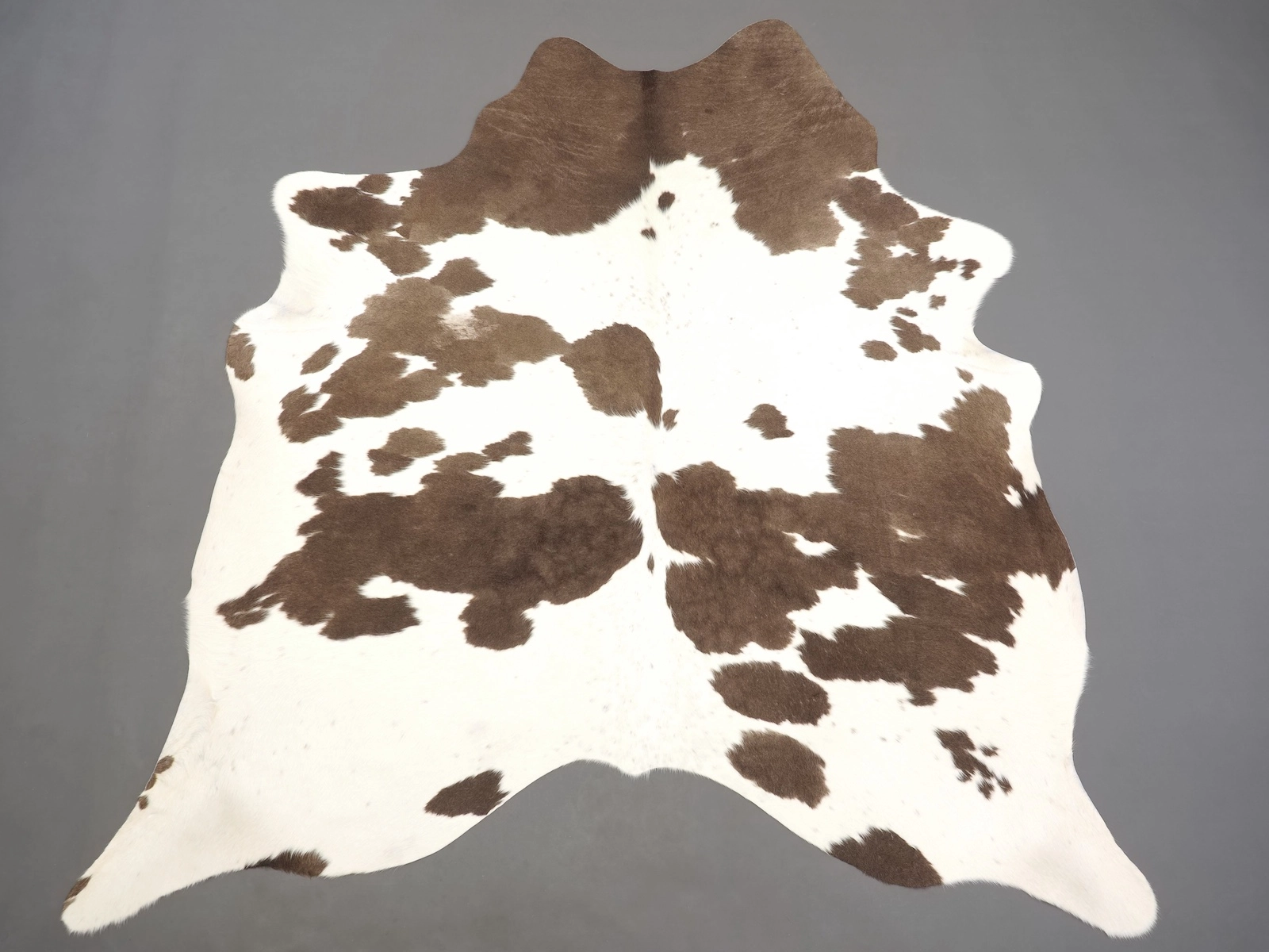 Коровья шкура натуральная коричневый мокко арт.: 31312 на пол — купить по выгодной цене в интернет-магазине Cowhide