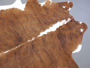 Шкура коровы натуральная тигровая арт.: 31327 - T6978c3424b29f646879782