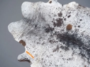 Шкура коровы натуральная соль и перец арт.: 31302 - T691dbfaad57bf008136729