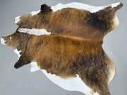 Шкура коровы натуральная тигровая арт.: 31326 - T6973743579d60389594613.jpeg