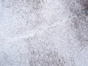 Шкура коровы натуральная соль и перец арт.: 31324 - T697212b2c352e314982745