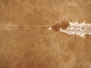 Натуральная шкура коровы коричнево-белая арт.: 31308 - T694146f61fc15818449429