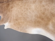 Шкура коровы натуральная на пол бежевая арт.: 30408 - T65f4274ceb541477365614